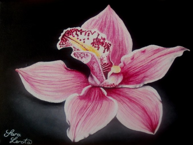 orchidea, medium, acrylic,canvas, orchidea,sara,lerota,year,creation,art